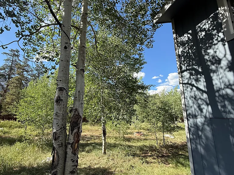 Side of the house to the backyard