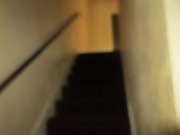 3rd image of 413 Rogers Ave #A