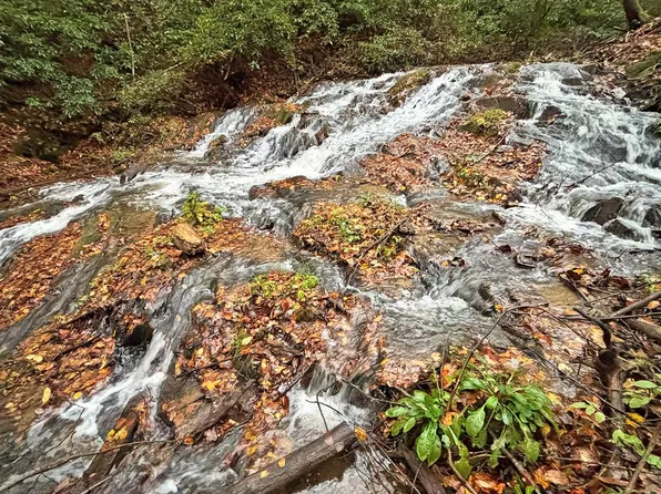 137 Faircloth Dr, Blue Ridge, GA 30513