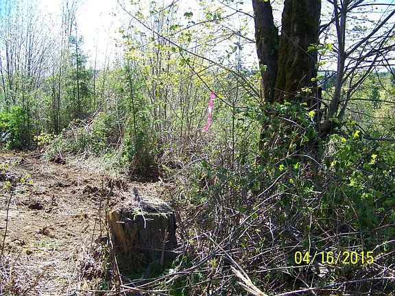 5th image of 0 Seroshek Ln Lot 6