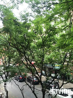 Rented by Living New York | media 9