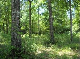 115 Eddie Webb Rd, Tylertown, MS 39667