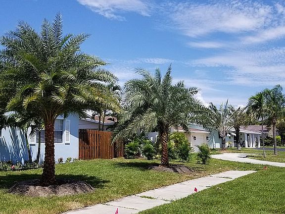 Side Yard