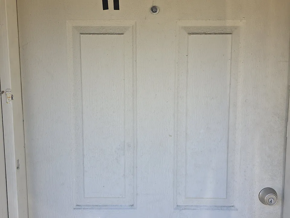 105 Palmetto Ave #11