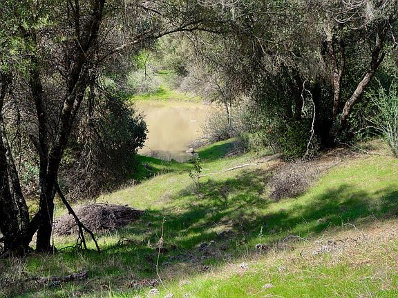 4th image of 6 Knickerbocker Rd