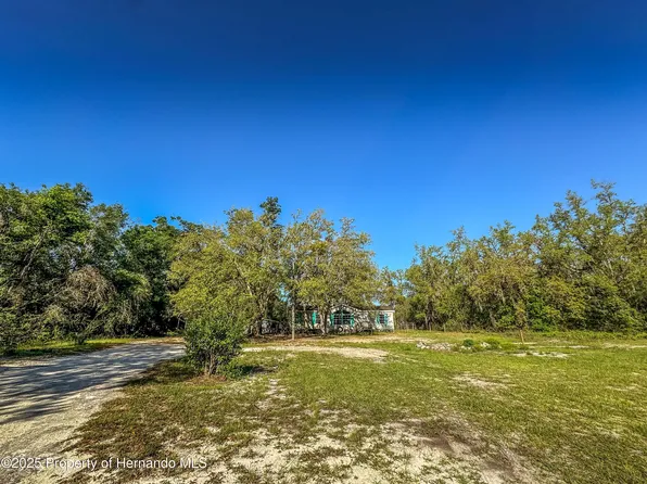 3231 Burwell Rd, Webster, FL 33597