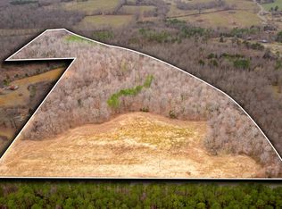 0 Mann Rd, Hollow Rock, TN 38342