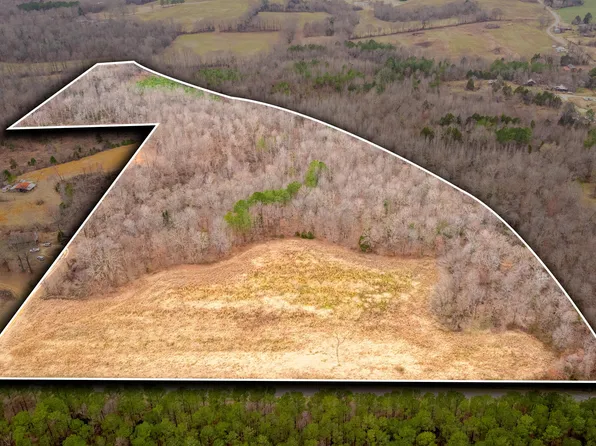 0 Mann Rd, Hollow Rock, TN 38342
