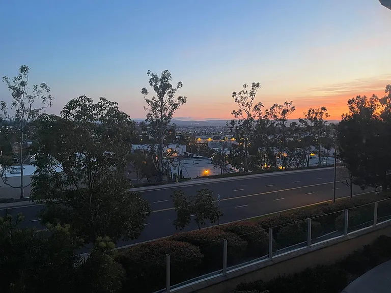 Evening view from dining room window