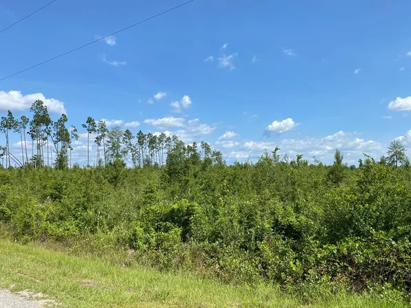 LOT 7 Highway 71 N, Wewahitchka, FL 32465