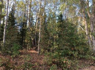 0 Ford Rd, Evart, MI 49631