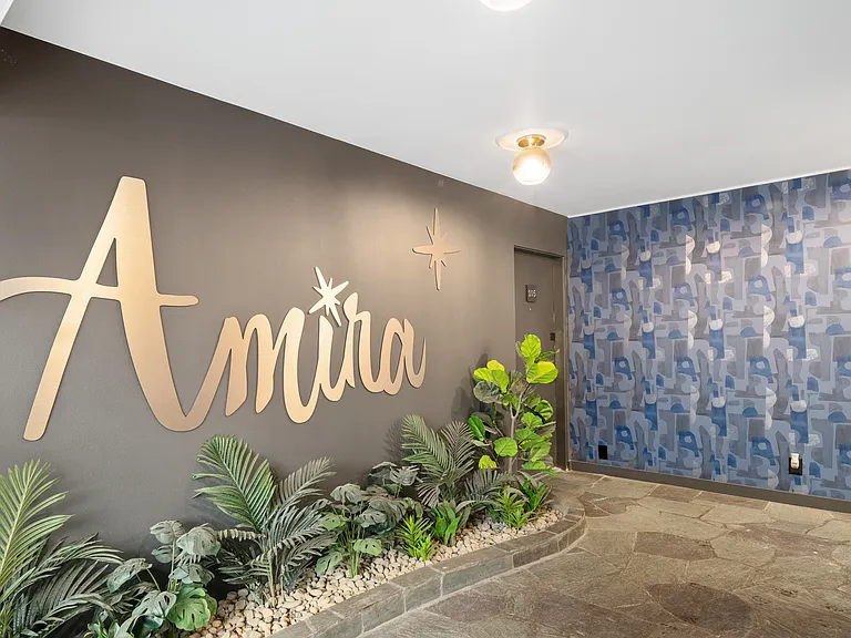 Amira — Photo 2