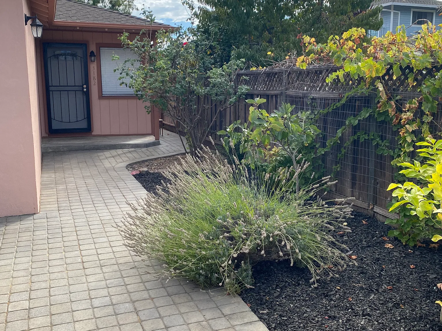 1 bed, 510 sqft, $3,300 — Photo 3