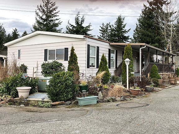 Garden area - raspberries!