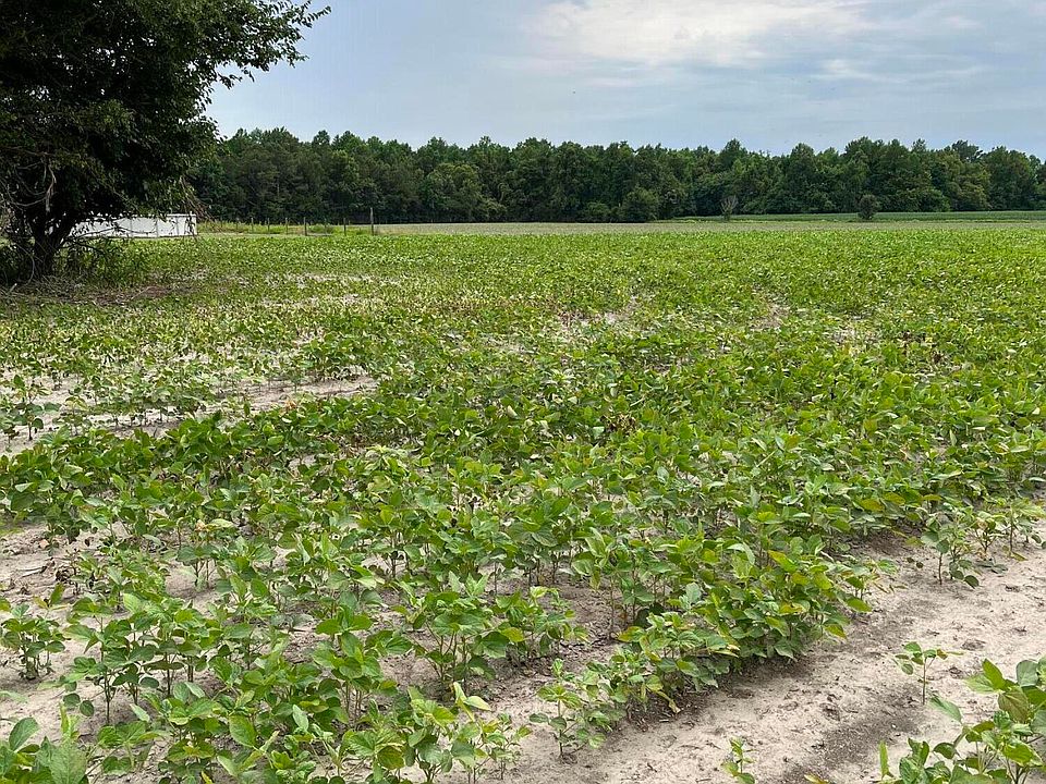 0 Frog Level Road, Winterville, NC 28590 MLS 100335935 Zillow
