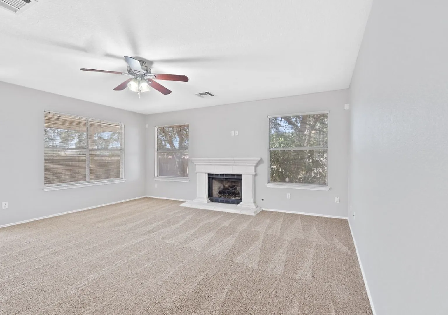 1514 Royce Ln, Cedar Park, Texas 78613 — Photo 3