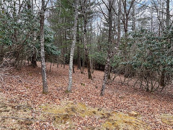 5th image of LOT 40 Huntsman Ct Lot 40