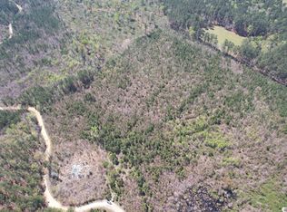 New Pine Rd, Johnsonville, SC 29555