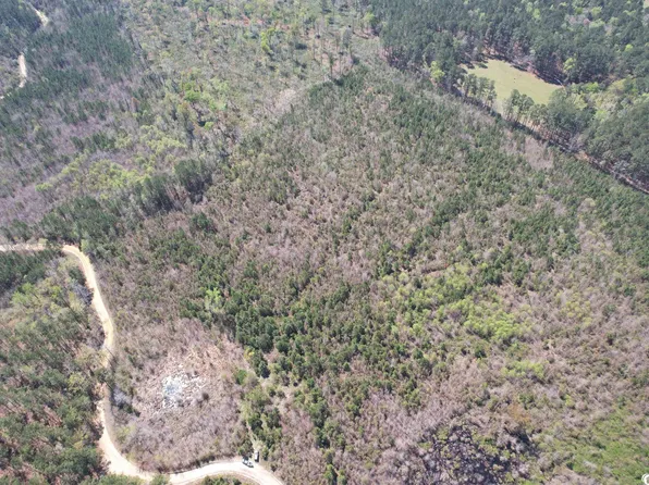 TBD New Pine Rd., Johnsonville, SC 29555