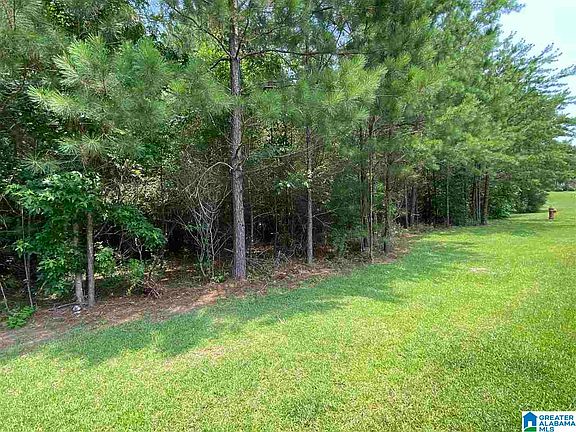 2nd image of 8517 Wolf Creek Ln #6