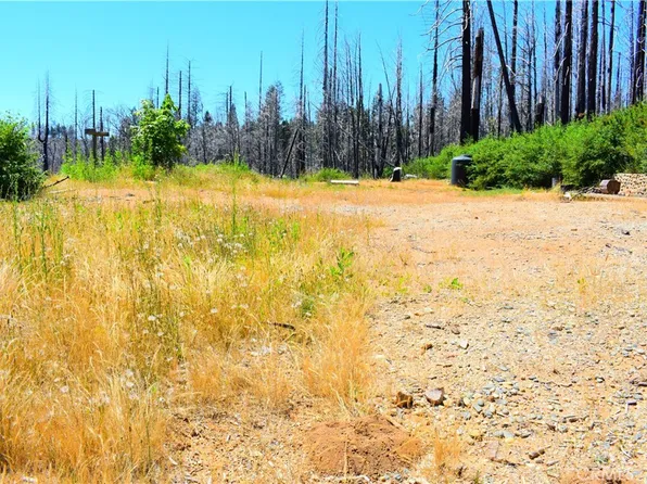 461 Milsap Bar Rd Lot 5, Berry Creek, CA 95916