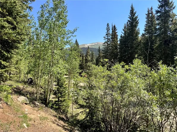 751 Peterson Dr, Fairplay, CO 80420