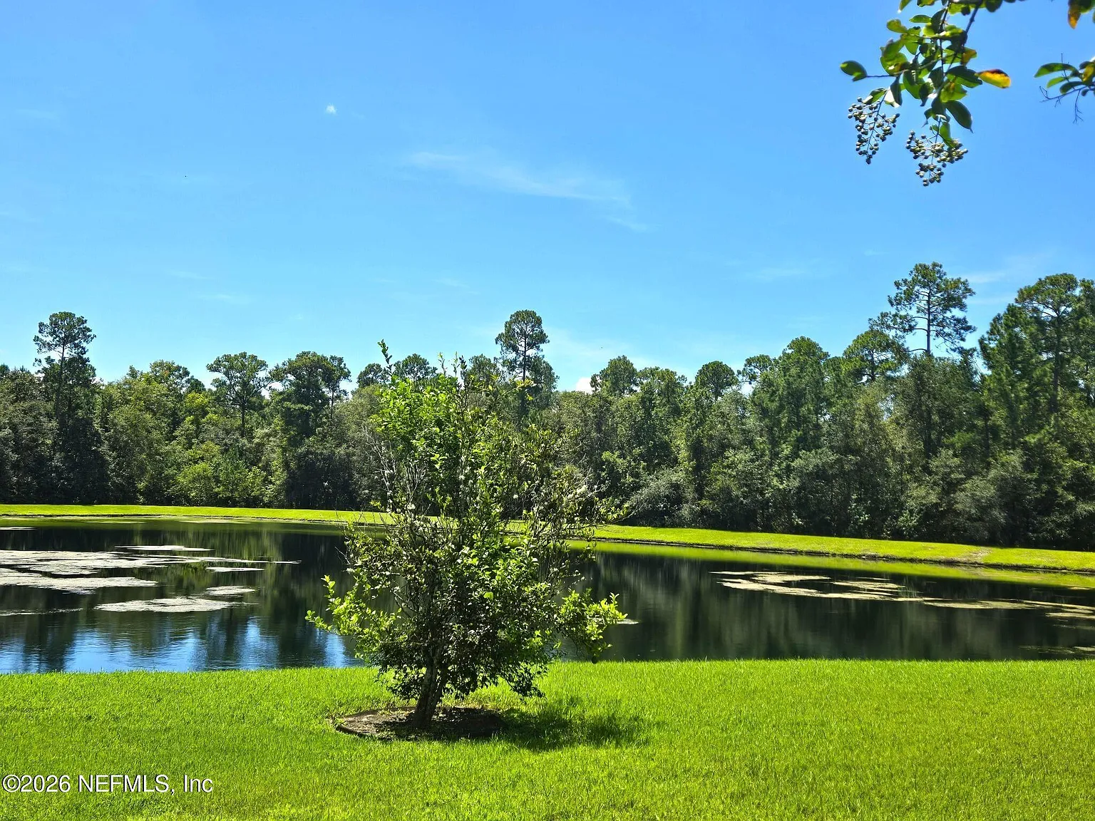 5 bed, 3.5 bath, 3009 sqft, $3,300 — Photo 2