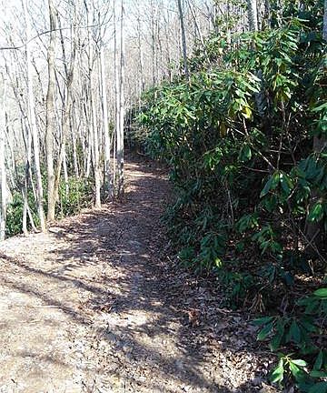 4th image of 152 Smokey Mountain Dr