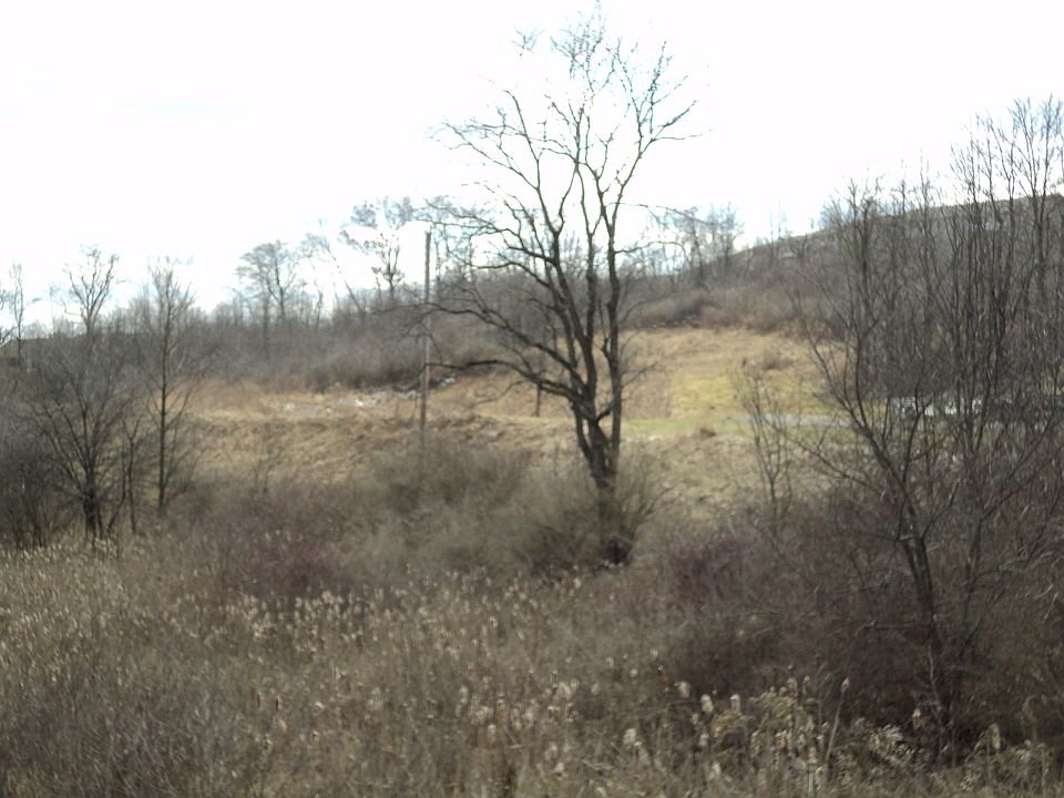 2nd image of 97 Crystal Dr