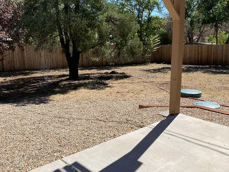 backyard