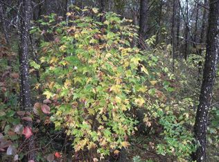 L19 14th Ct, Arkdale, WI 54613