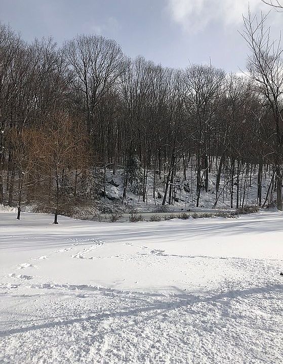 2nd image of 128 Minortown Rd