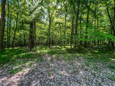 TRACT Damsgaard Rd #A, Deerwood, MN, 56444