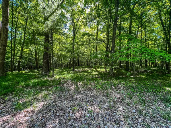 TRACT Damsgaard Rd #A, Deerwood, MN 56444