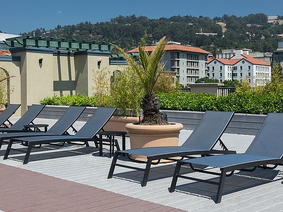 Lounge in the sun on the rooftop deck with chaise lounges and social spaces