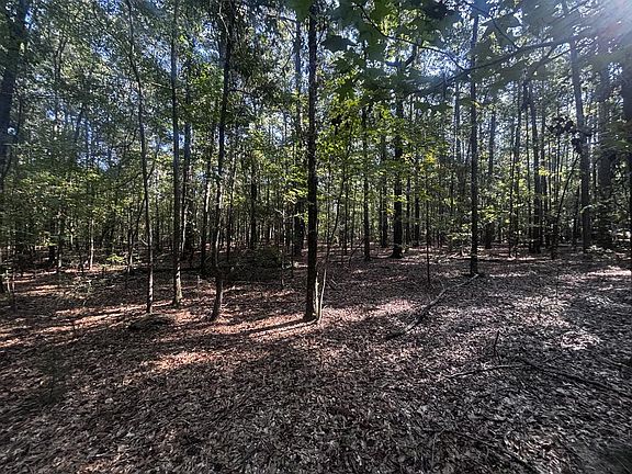2nd image of Sandy Branch Rd