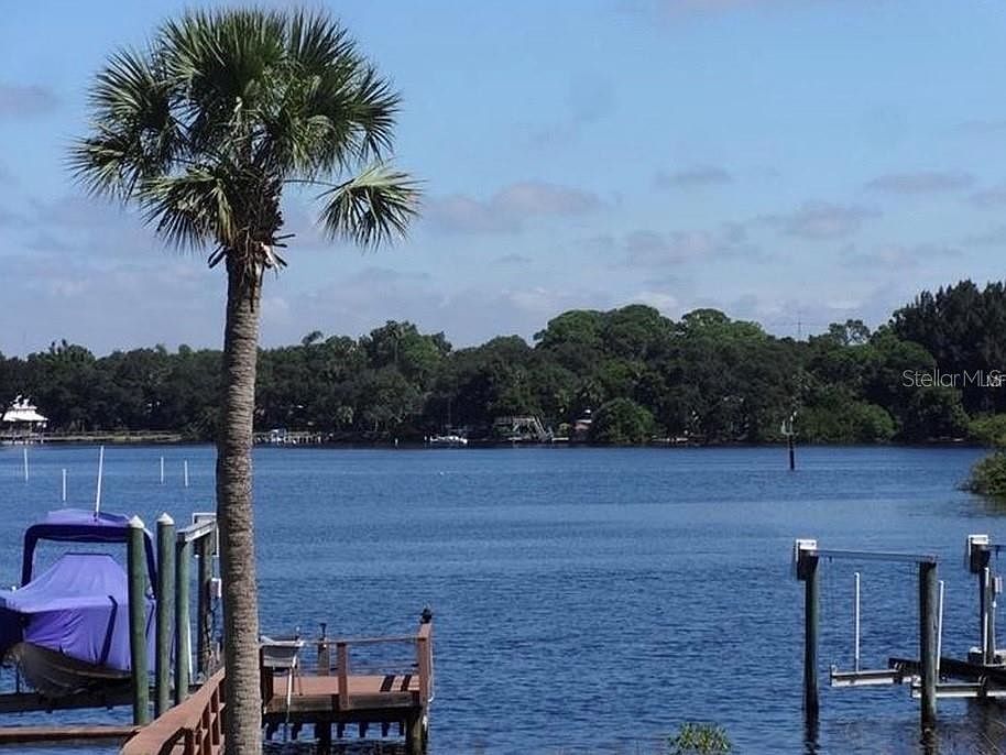 1434 Riverside Dr, Tarpon Springs, FL 34689 Zillow