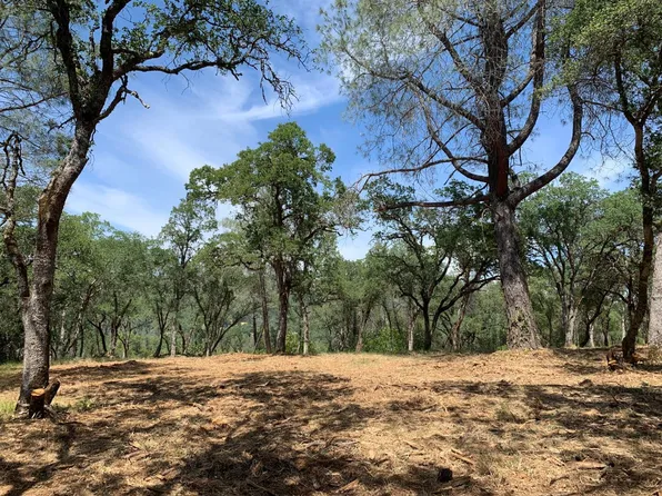 555 Jurgens Rd, Rescue, CA 95672