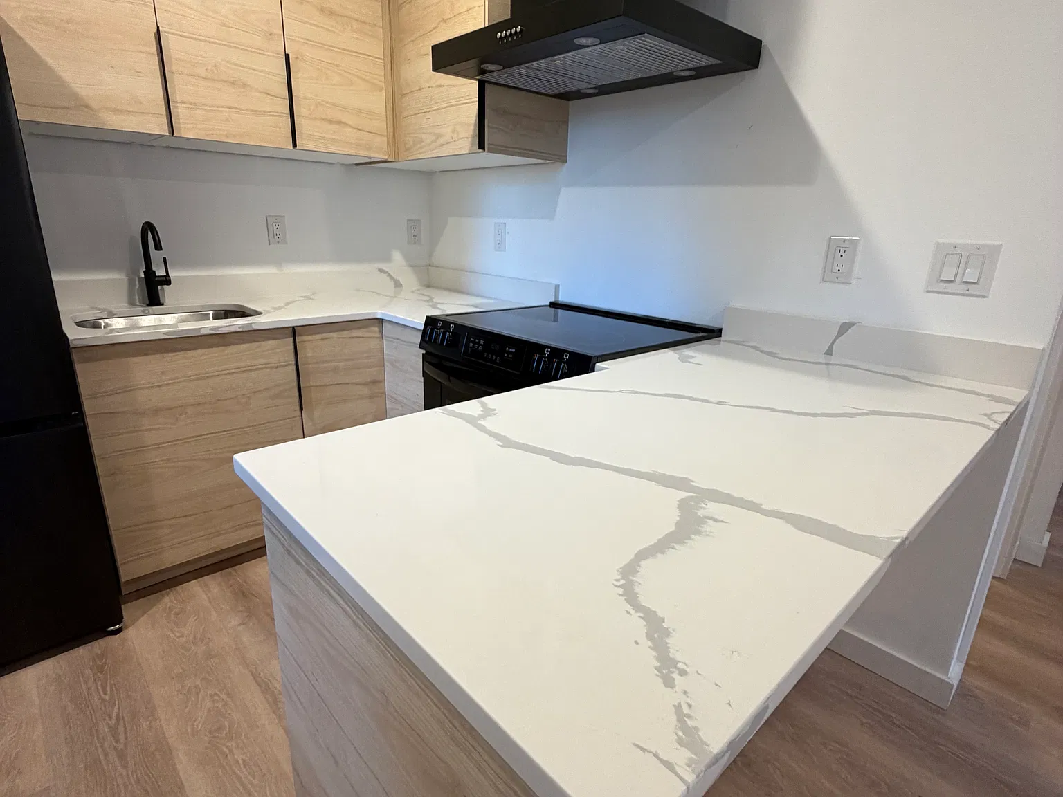 1 bed, 550 sqft, $1,600 — Photo 4