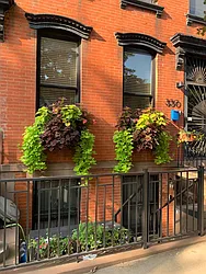 330 Carroll Street, #1