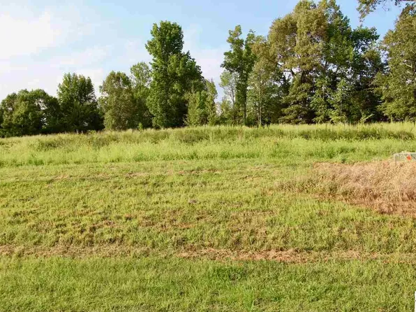 60 Kelsey Joe Ln, Eddyville, KY 42038