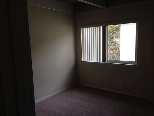 5th image of 1524 San Antonio St