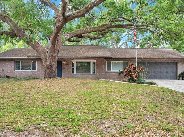 1308 W Perdiz St, Tampa, FL 33612