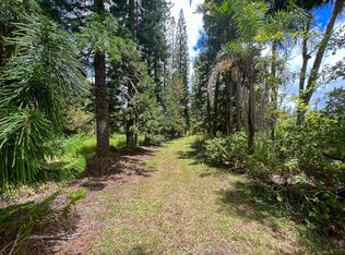 16-2191 Uhini Ana Rd, Road, HI 96720