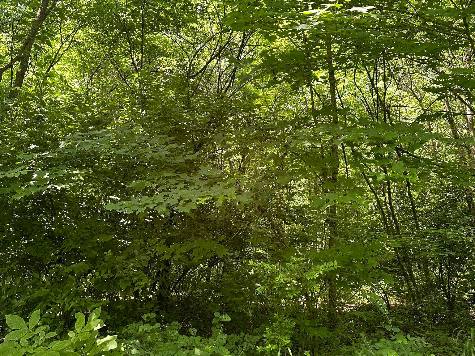 202 Lakeview Rd, New Haven, KY 40051 MLS 1661411 Zillow