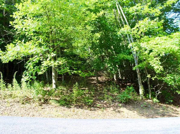 0 Covered Creek Rd, Franklin, NC 28734