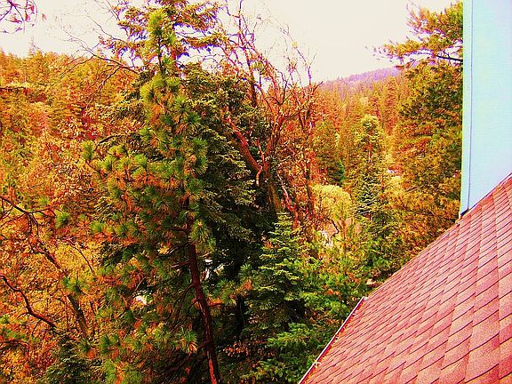 FALL View lkg south 4th flor