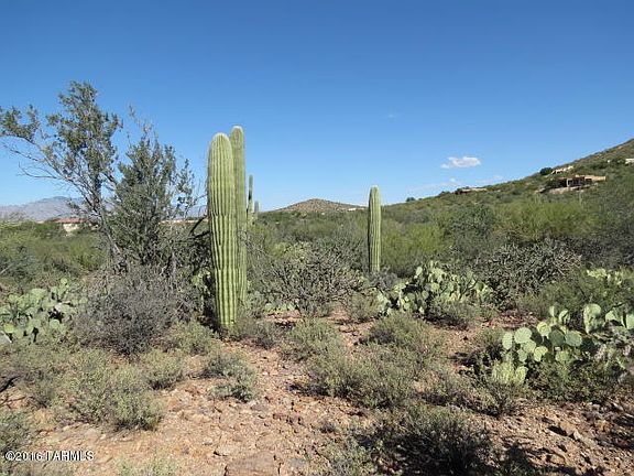 4th image of 750 N Camino De Vis W
