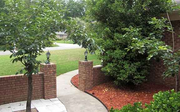 3rd image of 3066 Waterford Dr