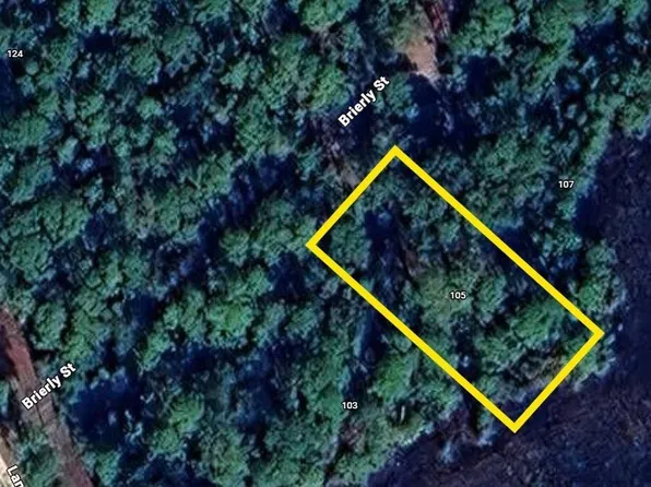 105 Brierly St, Georgetown, FL 32139